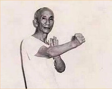 YipMan1